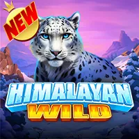 Persentase RTP untuk Himalayan Wild oleh Pragmatic Play